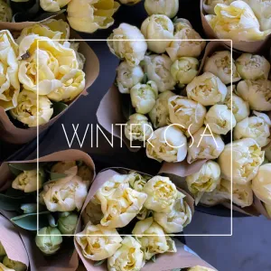 Winter CSA